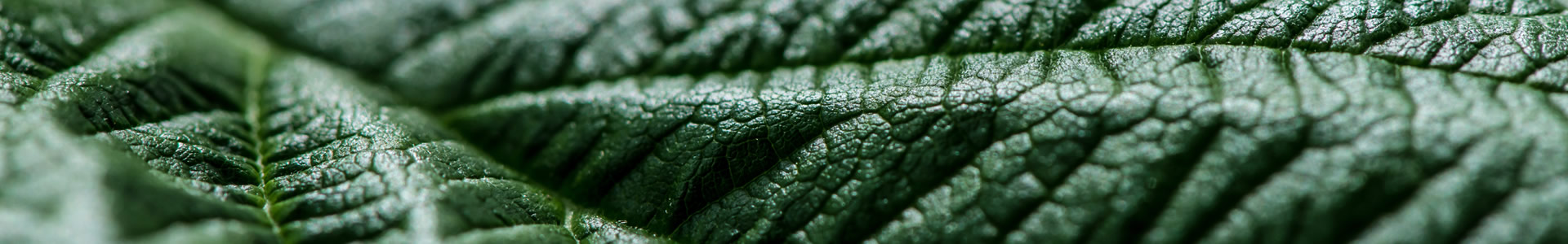 altitudini_montagna_05